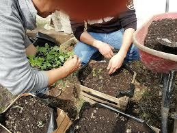 Ley de desarrollo rural sustentable.