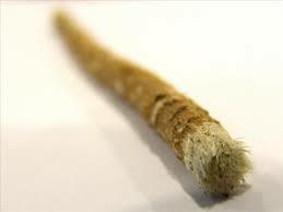 Primer cepillo dental