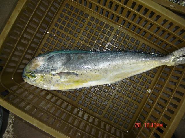 Drástica disminución