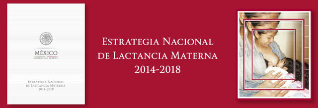 Estrategia Nacional de Lactancia Materna (ENLM)