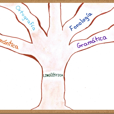 Timeline: La lingüística y sus ramas