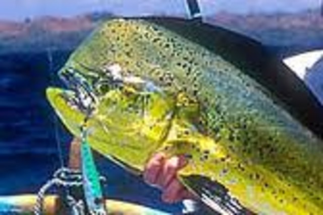 Recuperación del recurso