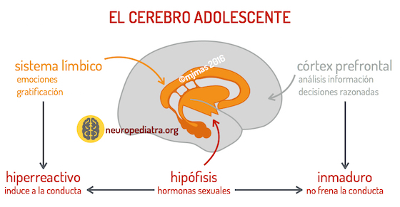 ADOLESCENCIA V