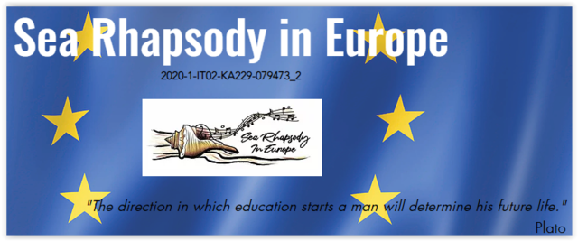 Creation of Project's Blog