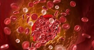 Movimiento de la sangre