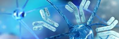 El descubrimiento de los anticuerpos monoclonales