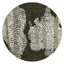 Primer acercamiento al concepto de célula