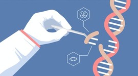 Timeline: Historia de la genética