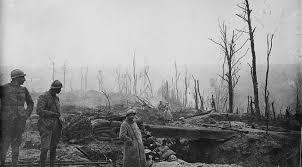 Batallas de Verdún, Somme y Jutlandia