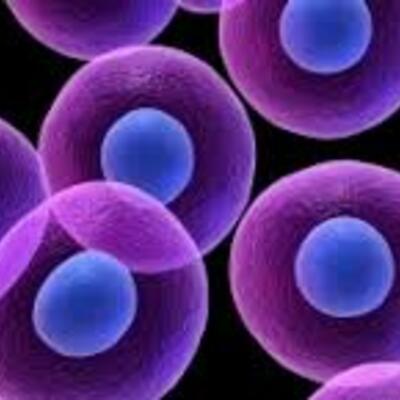 Timeline: LA EVOLUCIÓN