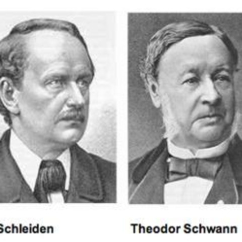 Mathias Schleiden - Theodor Schwan