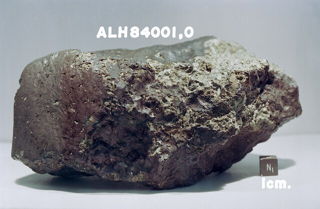 HALLAZGO DEL METEORITO ALH 84001