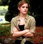 The perks of being a Wallflower