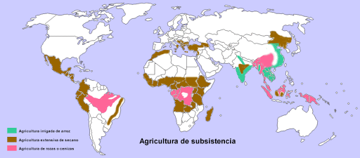 TEORIA DE LA SUBSISTENCIA DEL MUNDO