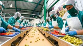 Timeline: MODOS DE PRODUCCIÒN ATRAVEZ DE LA HISTORIA DEL HOMBRE