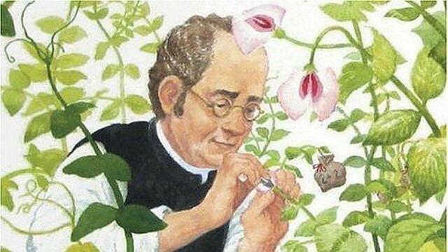 GREGOR MENDEL