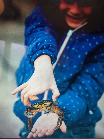 Viatge a suècia i noruega