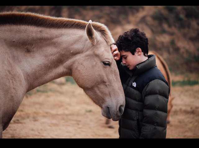 Apendre a estar amb els caballs