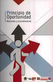 LEY 1312 PRINCIPIO DE OPORTUNIDAD