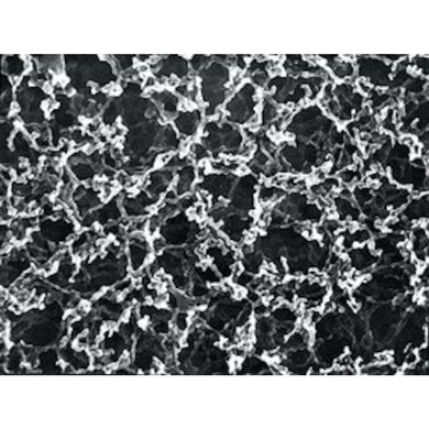 Nitrate de cellulose