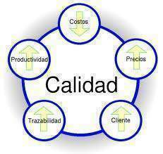 Control Total de Calidad
