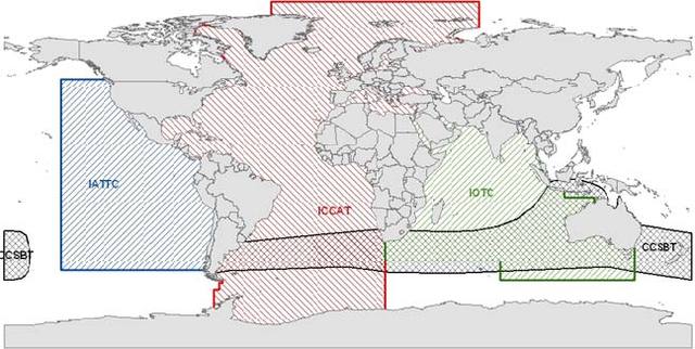 Guatemala ratifica convenio CIAT [12]