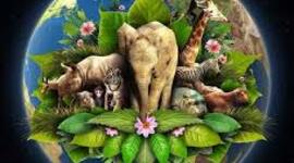 Timeline: HISTORIA DE LA BIOLOGIA