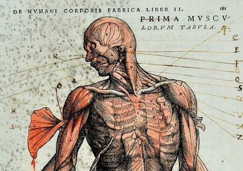 Vesalio