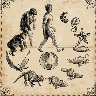 Timeline: El origen y la evolución de la vida