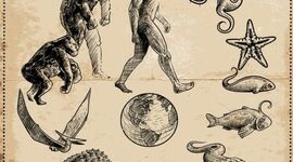 Timeline: El origen y la evolución de la vida