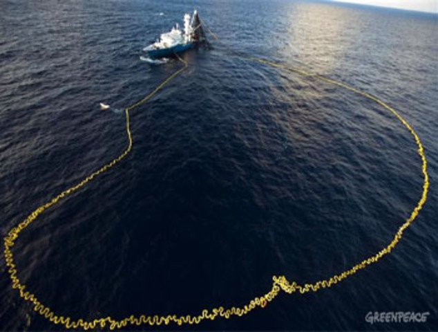 Pesca industrial de atún emergente [1]