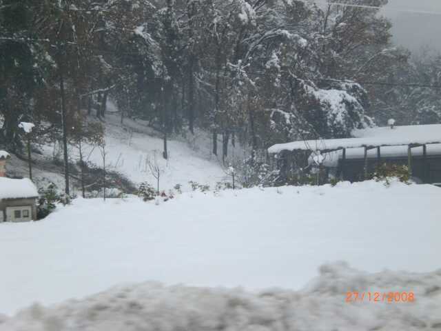 Primera vegada que vaig tocar la neu