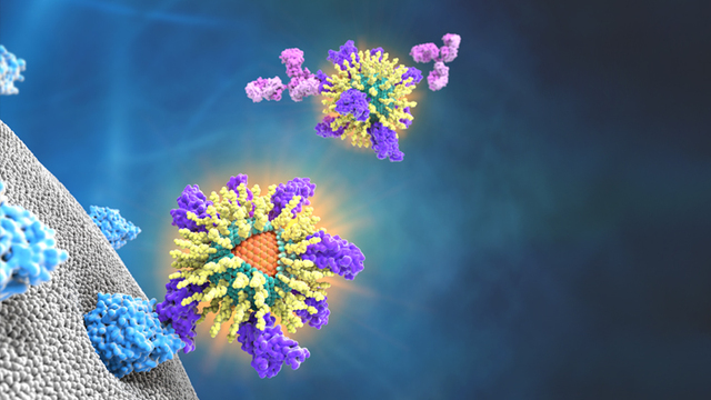 Quantum dot nanoparticle technology proposed as way to track vaccines