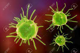 TAXONOMÍA DE LAS ENFERMEDADES