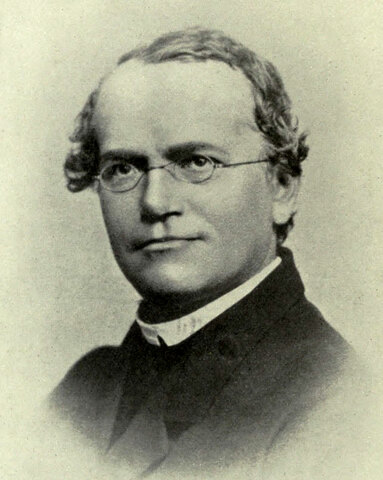 Gregor Mendel ( 1865)