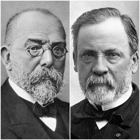 Louis Pasteur i Robert Koch ( 1870)
