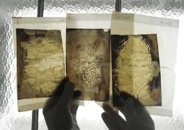 Nitrate de cellulose