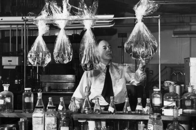 La Cellophane, Branderberger