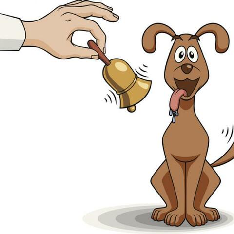 Condicionamiento clásico