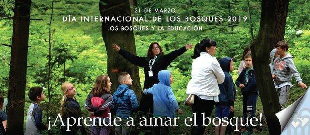 Dia internacional de los bosques