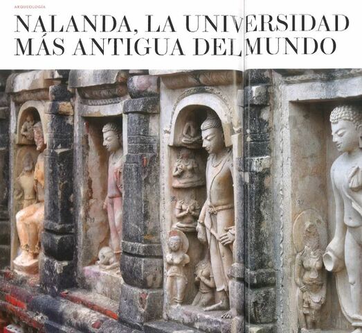La educación universitaria