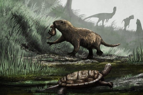 200 - 0 Millones de Años - Evolución Celular