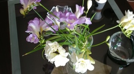 Timeline: Temps des verbes