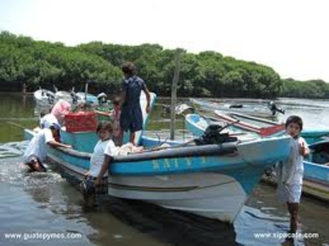 Se desarrollan investigaciones sobre pesca artesanal de camarones (Proyecto FAO-UNIPESCA)