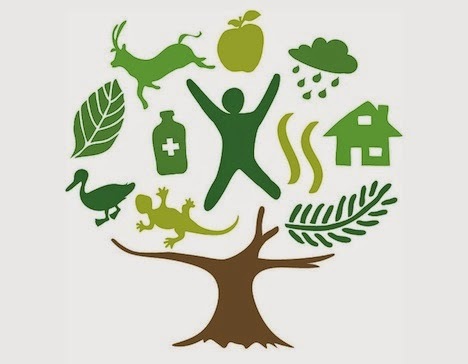 Política de Salud Ambiental Decreto 596 de 2011