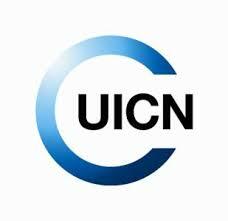 Unión Internacional para la Conservación de la Naturaleza (UICN)