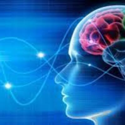 Timeline: HISTORIA DE LA NEUROCIENCIA. El conocimiento del cerebro y la mente desde una perspectiva interdisciplinar