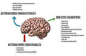 Primera mitad del siglo XX. Orientación de Neuropsicología
