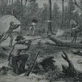 Shootout at Stringybark Creek