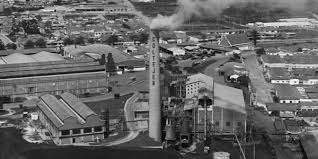 Desarrollo industrial